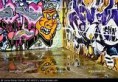 /album/fotogaleria-el-grafitti-/th-jpg/